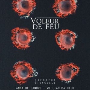 Voleur de feu 1 - Première étincelle - Anna de Sandre et William Mathieu
